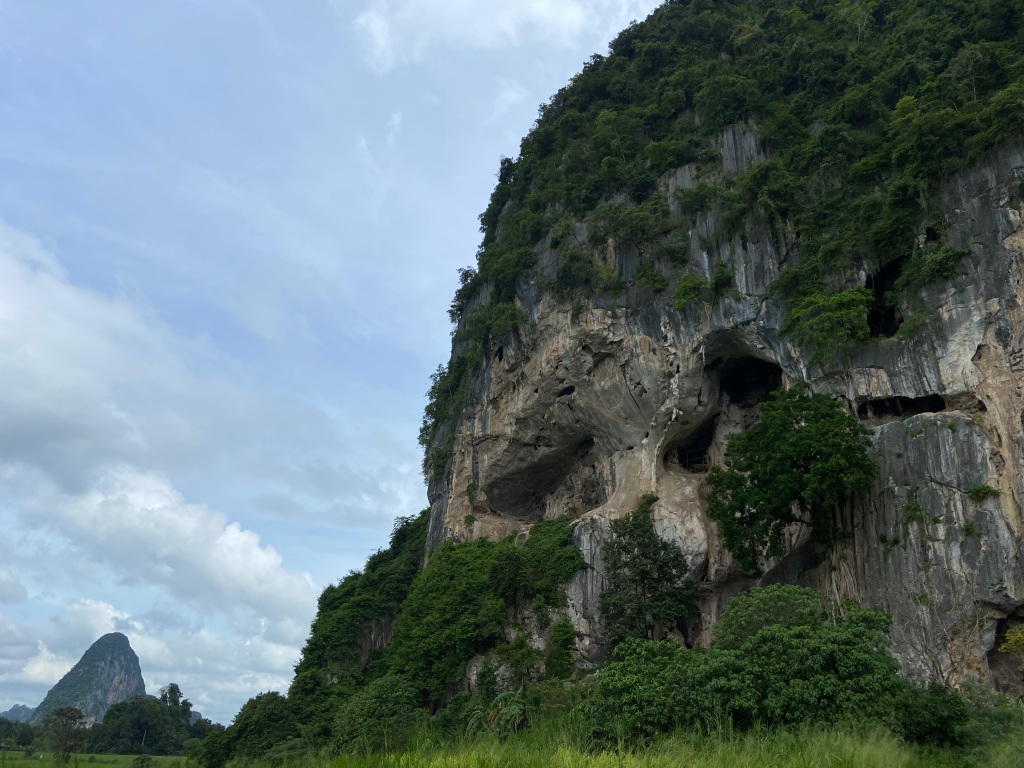 Limestone cliff covered in vegetation and caves. In the background is another cliff raising up from the flat rice paddies.
